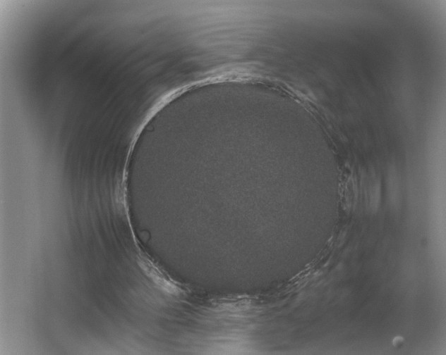 X0000064770100200602101259