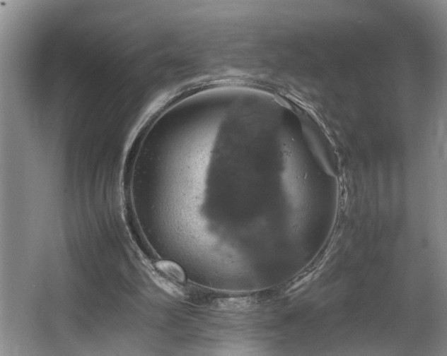 X0000064770102200602101259