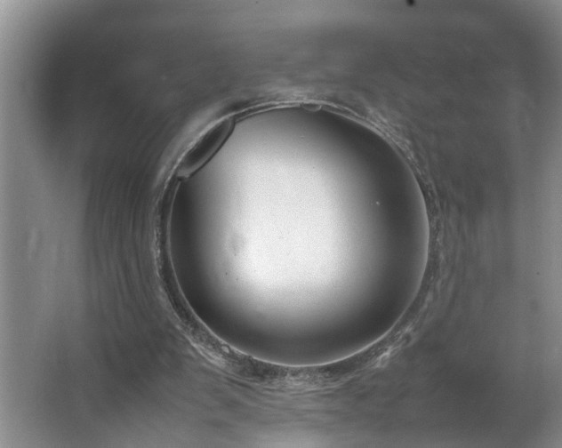 X0000064770103200602101259