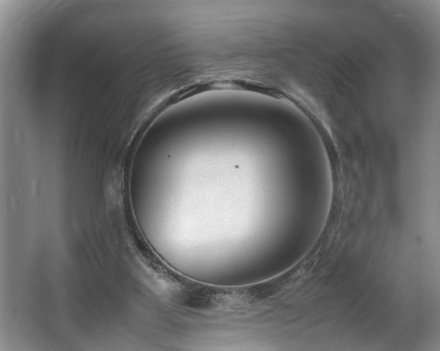 X0000064770107200602101259