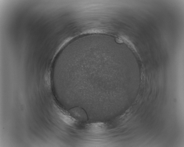 X0000064770108200602101259