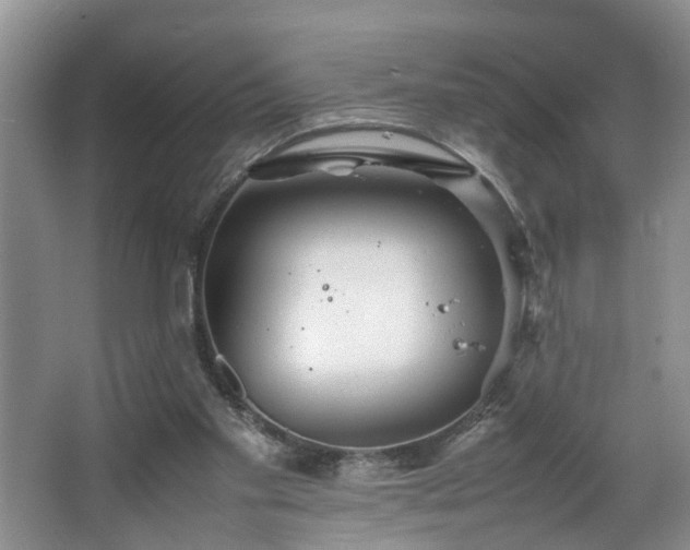 X0000064770109200602101259