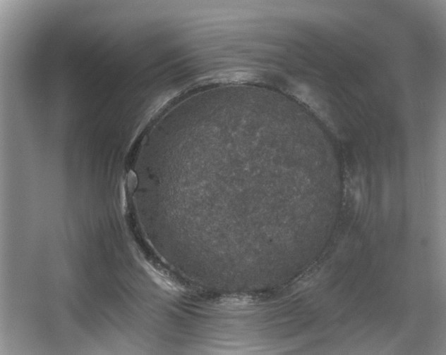 X0000064770110200602101259