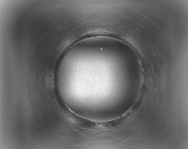 X0000064770111200602101259