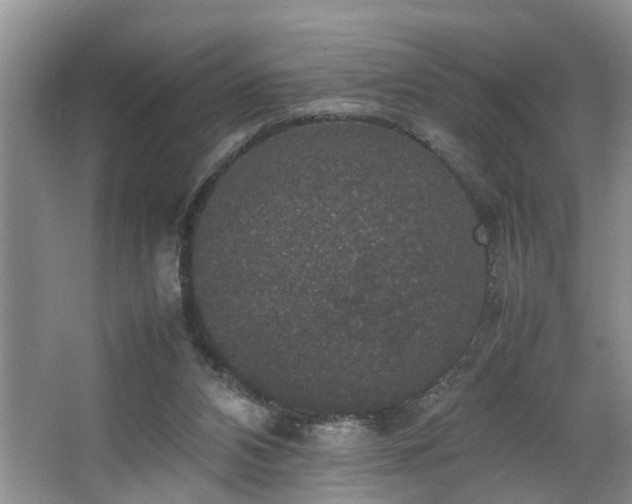 X0000064770112200602101259