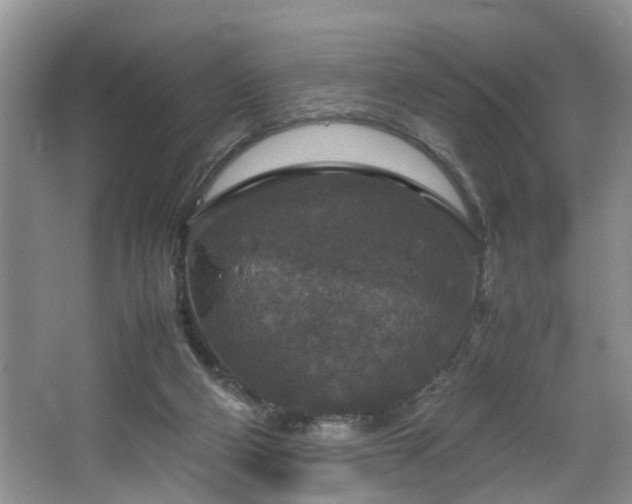 X0000064770114200602101259