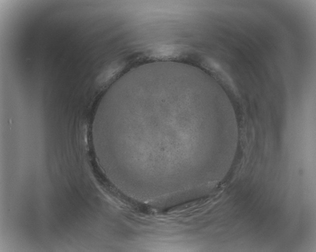 X0000064770115200602101259