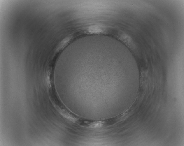 X0000064770116200602101259