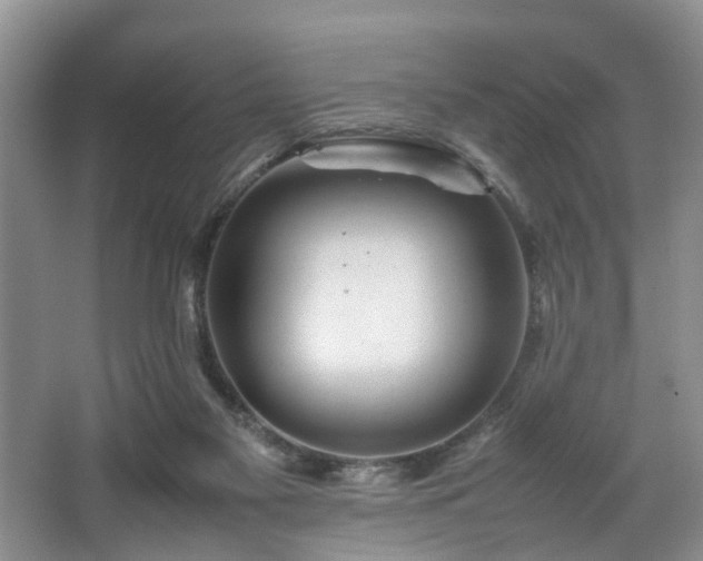 X0000064770117200602101259