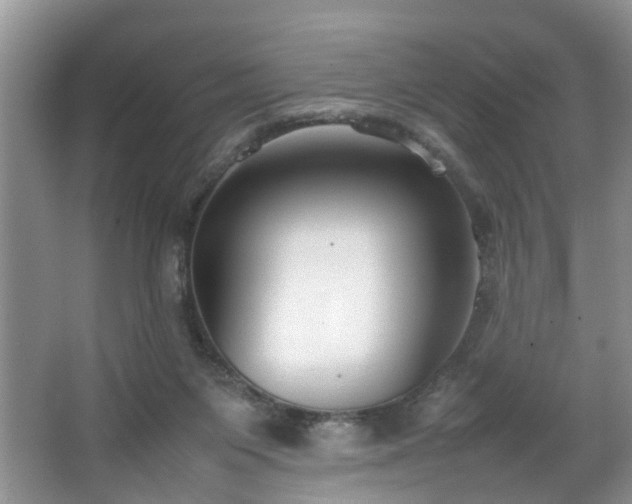 X0000064770119200602101259