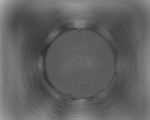 X0000064770120200602101259