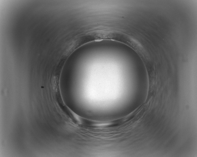 X0000064770121200602101259