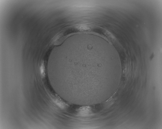 X0000064770124200602101259