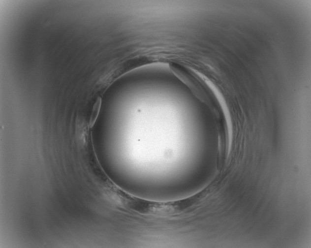 X0000064770125200602101259