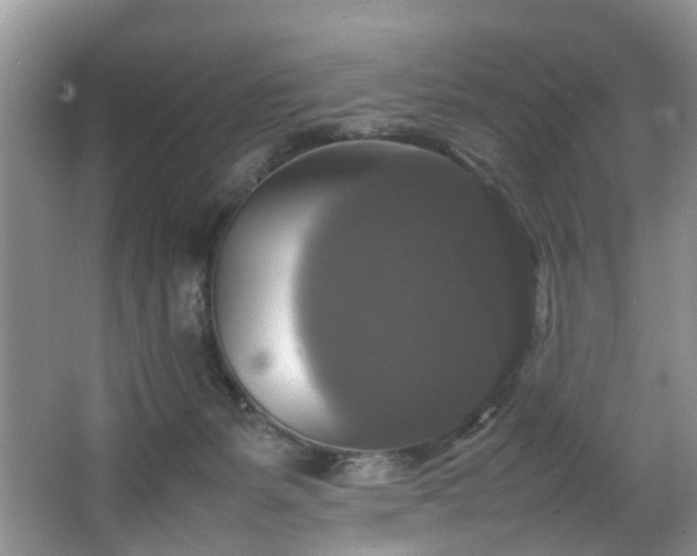 X0000064770127200602101259