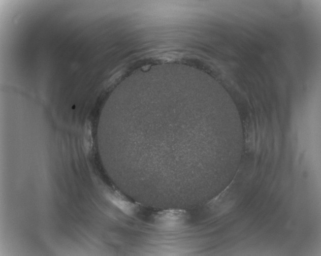 X0000064770128200602101259