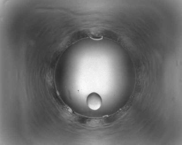 X0000064770129200602101259