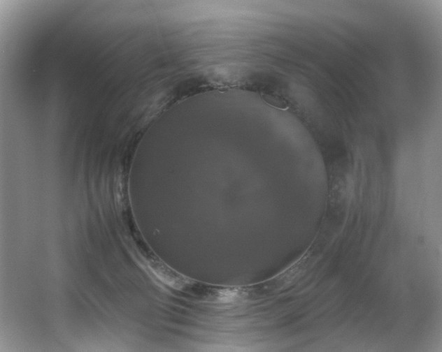 X0000064770130200602101259