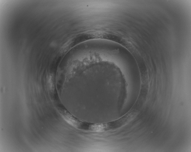 X0000064770131200602101259