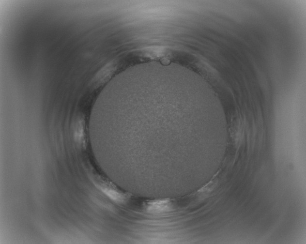 X0000064770132200602101259