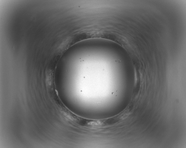 X0000064770133200602101259