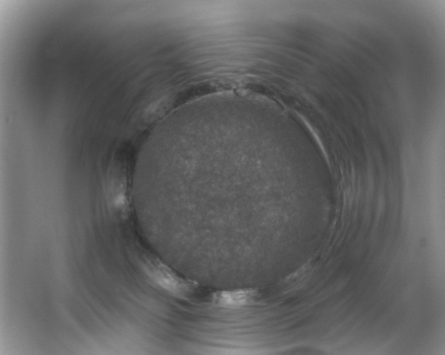 X0000064770134200602101259