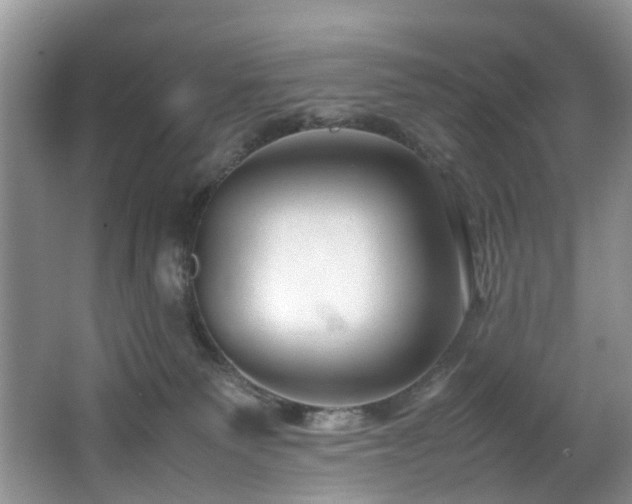 X0000064770135200602101259