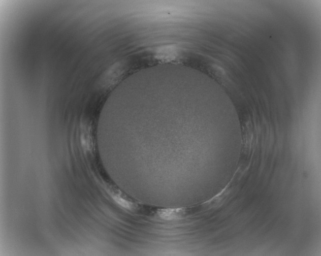 X0000064770136200602101259