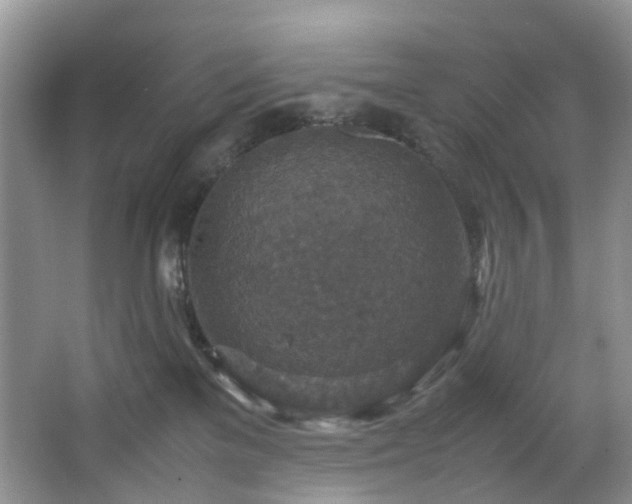 X0000064770137200602101259