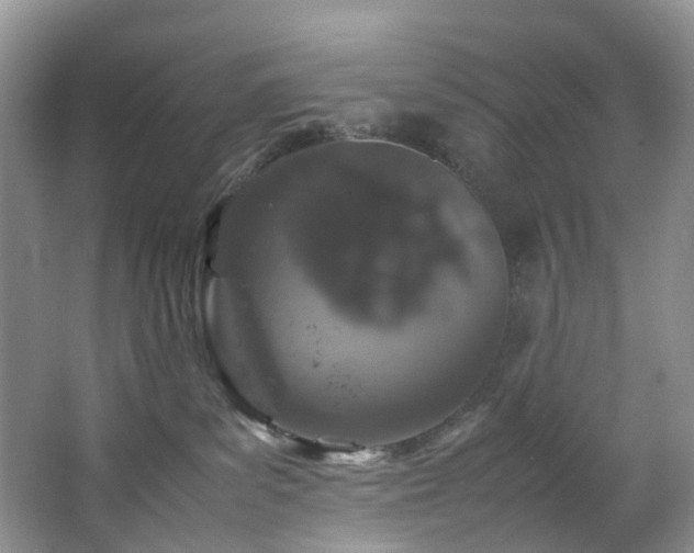 X0000064770139200602101259