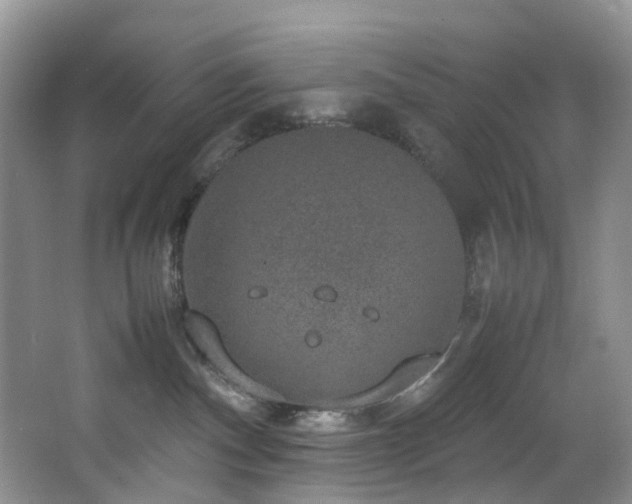 X0000064770140200602101259