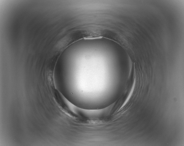 X0000064770141200602101259