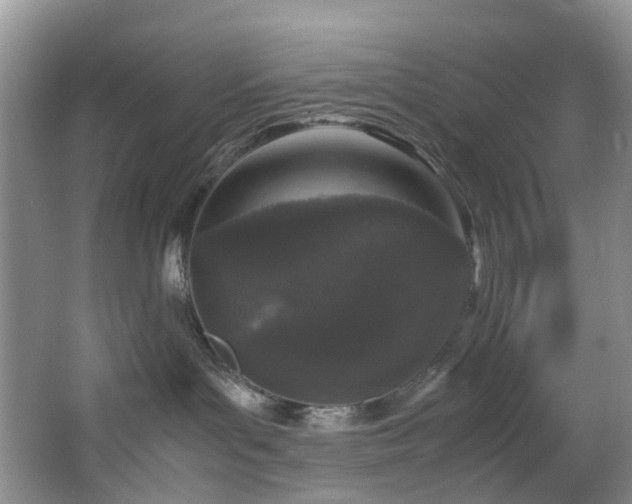 X0000064770143200602101259