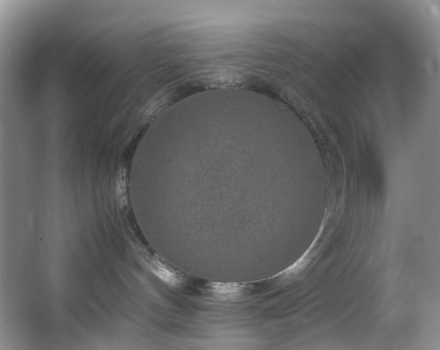 X0000064770144200602101259