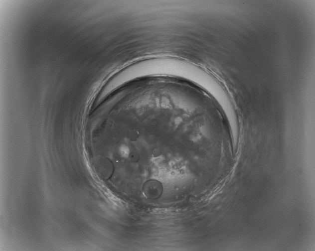 X0000064770145200602101258