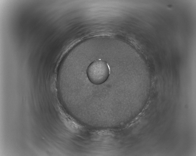 X0000064770146200602101258