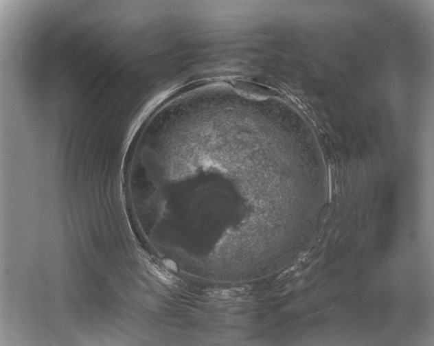 X0000064770147200602101258