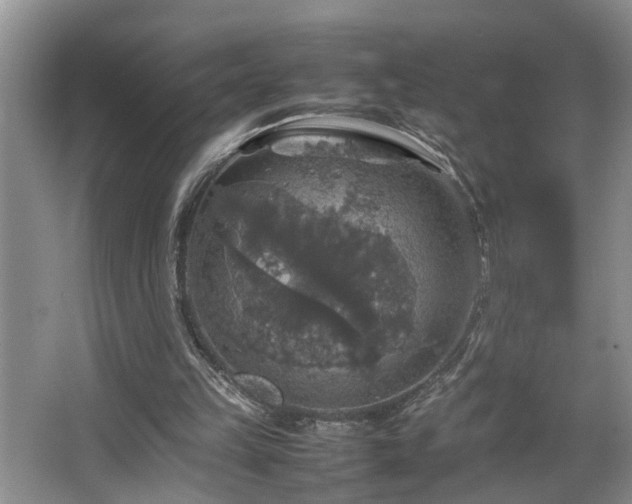 X0000064770149200602101258