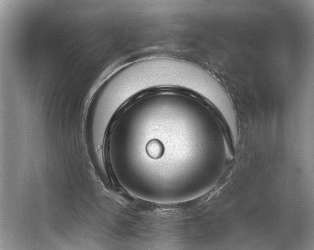 X0000064770150200602101258