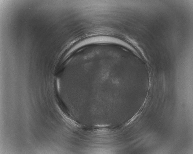 X0000064770154200602101258