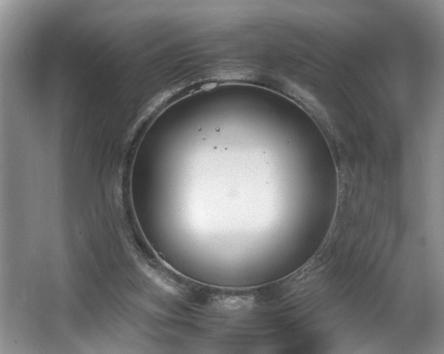 X0000064770155200602101258