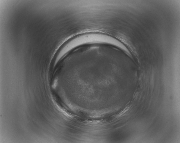 X0000064770156200602101258