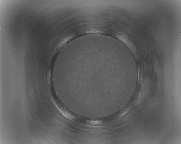 X0000064770157200602101258