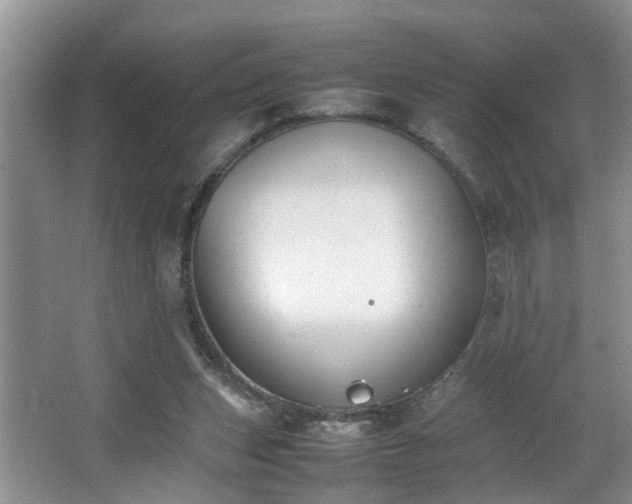 X0000064770159200602101258