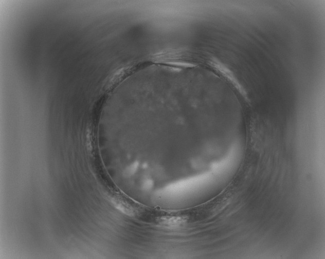 X0000064770161200602101258