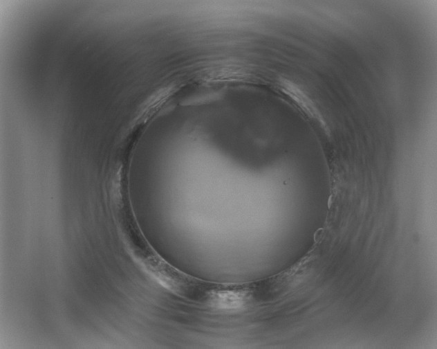 X0000064770163200602101258