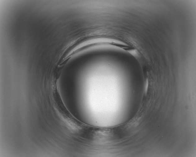 X0000064770164200602101258