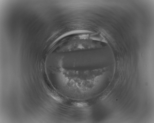 X0000064770165200602101258