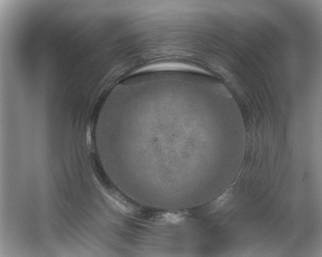 X0000064770166200602101258