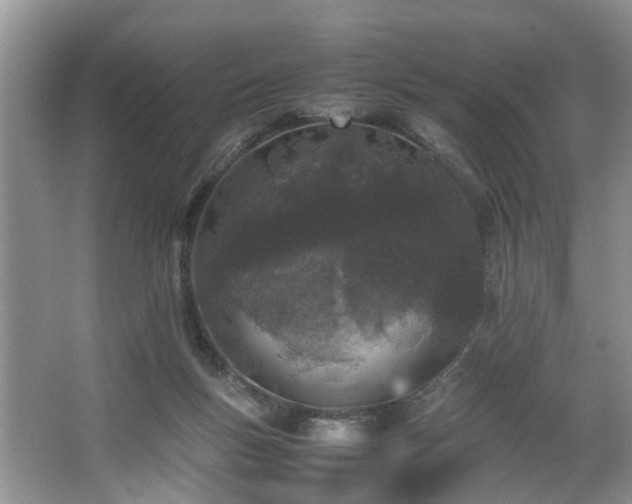 X0000064770167200602101258